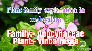 Family Apocynaceae details in Malayalam [upl. by Coulson]