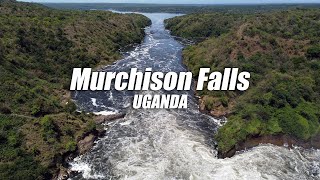 What Murchison Falls National Park UGANDA Look like in Africa 1080p Beautiful Sights [upl. by Soni]