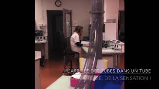 Le laboratoire de biologie médicale  l’automate et les analyses [upl. by Granthem751]