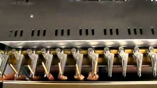 日本式自动回转烧烤机 Japanese auto rolling yakitori machine [upl. by Atinat]