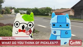 Cats vs Pickles Presents quotPoll Panicquot [upl. by Kerred]