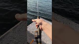 big fish 13 Drag sound fishing outdoors gofishing bigfishhugooutdoor [upl. by Rosenfeld]