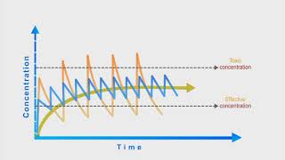 Pharmacokinetics animation Dosing Interval [upl. by Petra307]