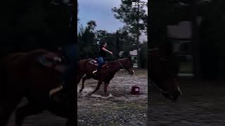 HES COMING ALING AMAZINGLY horse rodeolifestyle horseenthusiast equestrian rodeotime horsefan [upl. by Eyar107]