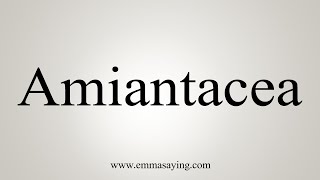 How To Say Amiantacea [upl. by Thorstein122]