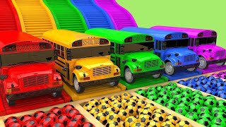 🔴 Carros Para Niños [upl. by Judson8]