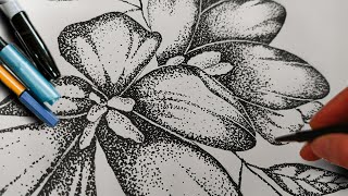 How to stipple  Stippling Art for Beginners Stippling flowers Easy [upl. by Lennad]