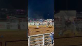 This girl fell off during the barrel racing at the rodeo NOT ME RIDING Owner 2 [upl. by Klapp]