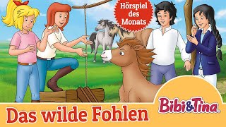 Bibi amp Tina  Das wilde Fohlen Folge 93  Hörspiel des Monats SEPTEMBER 2024 [upl. by Latham]