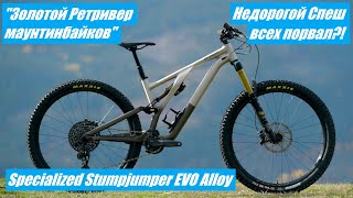 2022 Specialized Stumpjumper Evo Alloy  Золотистый Ретривер Маунтинбайков [upl. by Yauqaj574]