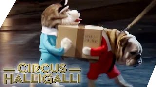 Aushalten Nicht lachen Tag Team Edition Vol 2  TEIL 4  Circus Halligalli  ProSieben [upl. by Yttig853]