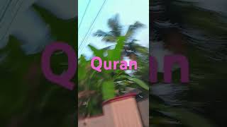 Quran translation Urdu duet urdu [upl. by Adnylg]