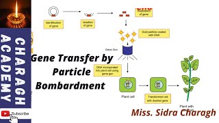 Gene Transfer by Particle Bombardment ✍✍ [upl. by Dranyam]