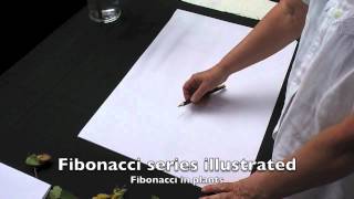 DVD 7 Botanical illustration volume 3 promo [upl. by Leiria]