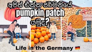 ජර්මනියේ pumpkin patchහරිම ලස්සන දවසක් Erlebnisbauernhof Gertrudenhofköln [upl. by Eerehs]