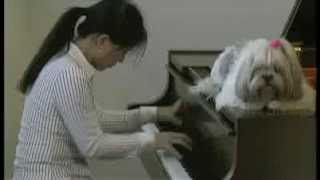 Chopin Polonaise in Aflat major op53 Kana Mimaki [upl. by Zinn]