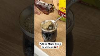 Maple Syrup And Yerba Mate🧉🍁 [upl. by Anaitak191]