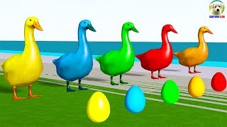 Learn Colors with Duck lay Eggs Colors Cartoon for Kids [upl. by Inalej265]