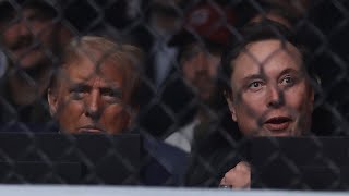 ‘Trouble in paradise’ Stories surfacing of Donald Trump and Elon Musk’s relationship [upl. by Noram780]