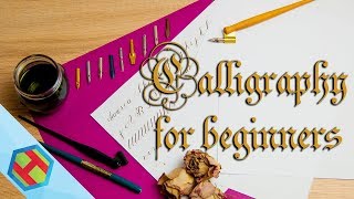 Calligraphy for complete beginners  how to get started [upl. by Lyns]