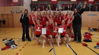 Bezirksmeisteschaften Volleyball Mädchen U14 am 20012013 [upl. by Aikan816]