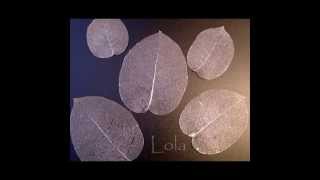 Как сделать скелетирование листиковHow to make a skeletonization of leaves [upl. by Pratt]