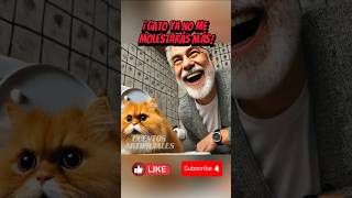 El abuelo malvado que le hizo daño al gatito 🐈😢 shortsviral mismascotas gatos cat gatitos [upl. by Monty]