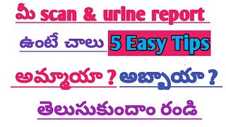 How to predict baby gender using scan and urine reports in telugu ll pregnancy tips ll gender predic [upl. by Narruc]