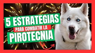 🎆5 Estrategias para evitar EstrésAnsiedad por Fuegos Artificiales en Perros y Gatos  BONUS DE ORO [upl. by Rozina]