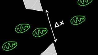 Heisenbergs Uncertainty Principle Explained [upl. by Kirred234]