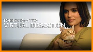 Actor Torrey DeVitto Choose Virtual Dissection [upl. by Azar641]