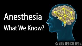 Neuroscience Basics Anesthesia How it Works Animation [upl. by Adgam]