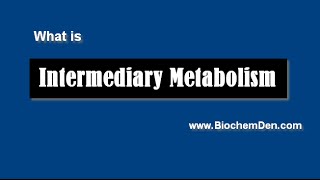 What is Metabolism Basics of Metabolism [upl. by Sakovich]