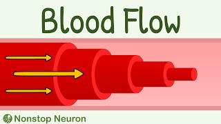 Blood Flow Laminar vs Turbulent  Reynolds Number [upl. by Llecram]