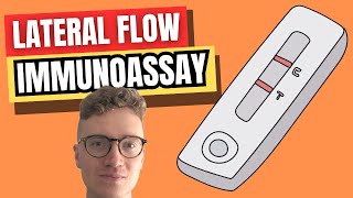 Lateral Flow Immunoassay LFIA EXPLAINED [upl. by Dream]