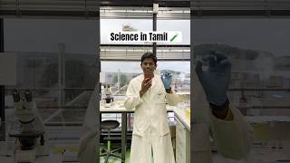 Why cells stored in 80 degree Tamil Scientist in Germany scienceexperiment tamilsciencevideos [upl. by Shanahan]