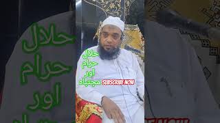 Halal haram aor mujtabah I islamicvideo viralshorts muftitariqmasoodsahabnewbayan [upl. by Nessah]