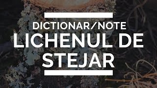 dictionar  Lichenul de stejar ca nota in parfumerie [upl. by Favian381]