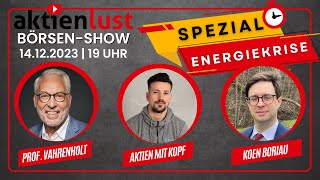 ⚠️ Die große ENERGIEKRISE Prof Vahrenholt Kolja v Aktien mit Kopf amp Koen Boriau 7C Solarparken [upl. by Ecitsuj539]