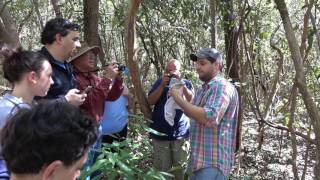 A Woodrat Nest Walk in Croc Lake NWR with Dr Michael Cove [upl. by Nnylekoorb]