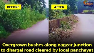 In Goa 24×7 effect Overgrown bushes along nagzar junction to dhargal road cleared [upl. by Akcir]