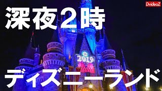 20182019年越し ディズニーランド深夜営業レポート [upl. by Adnov]