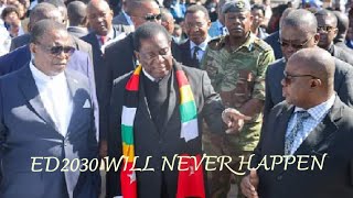 EMMERSON MNANGAGWA 2030 WILL NEVER HAPPEN DECLARES WAR VET  AUDIO THOUGHTS WITH PRINCE [upl. by Harimas827]