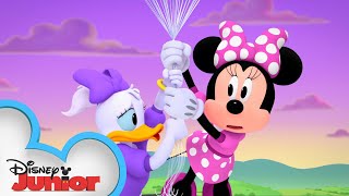 Upsy Minnie and Daisy  Minnies BowToons 🎀  disneyjr [upl. by Nythsa]