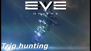 EVE Online  Myrmidon trig hunter [upl. by Mikol]