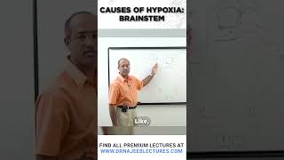 Causes Of Hypoxia Brainstem drnajeeb drnajeeblectures shortvideo [upl. by Ahsaeit]