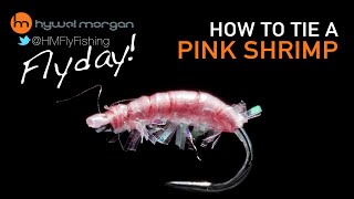 Pink Shrimp fly pattern  Flyday 13 [upl. by Nemzzaj]