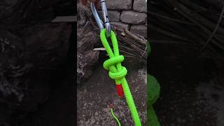 Tying Ring Hook Knot ringknots viralshorts knot [upl. by Reginnej]