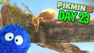 Im Not Cheating Youre Cheating  Pikmin 3  DAY 23 [upl. by Fogg831]