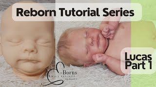 Reborn Painting Tutorial Series Lucas Part 1 Join channel for full series access [upl. by Eisle]